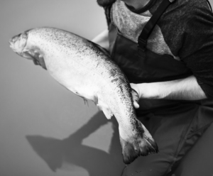 Grayscale Photo of Man Holding Milkfish